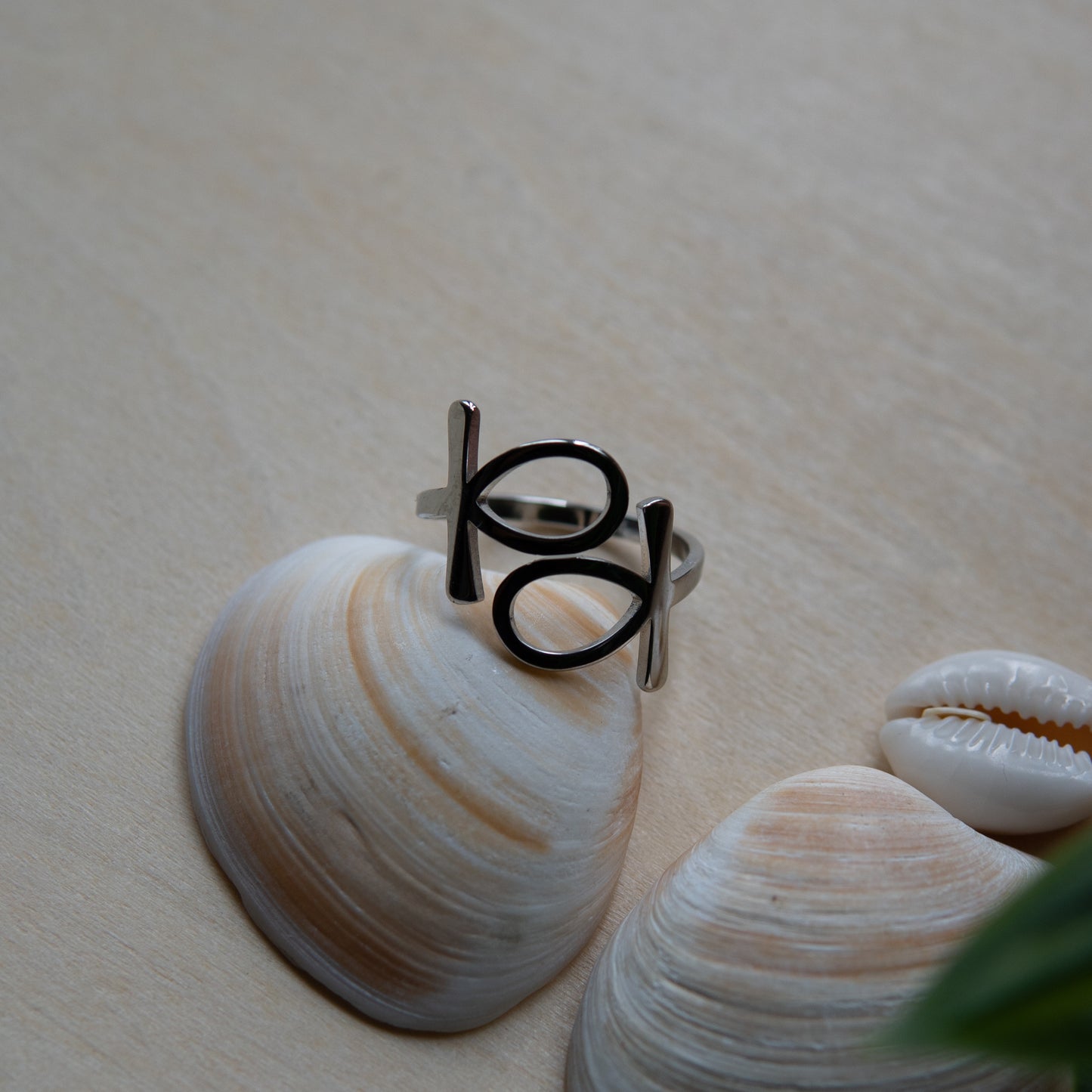 Ankh Silver Ring