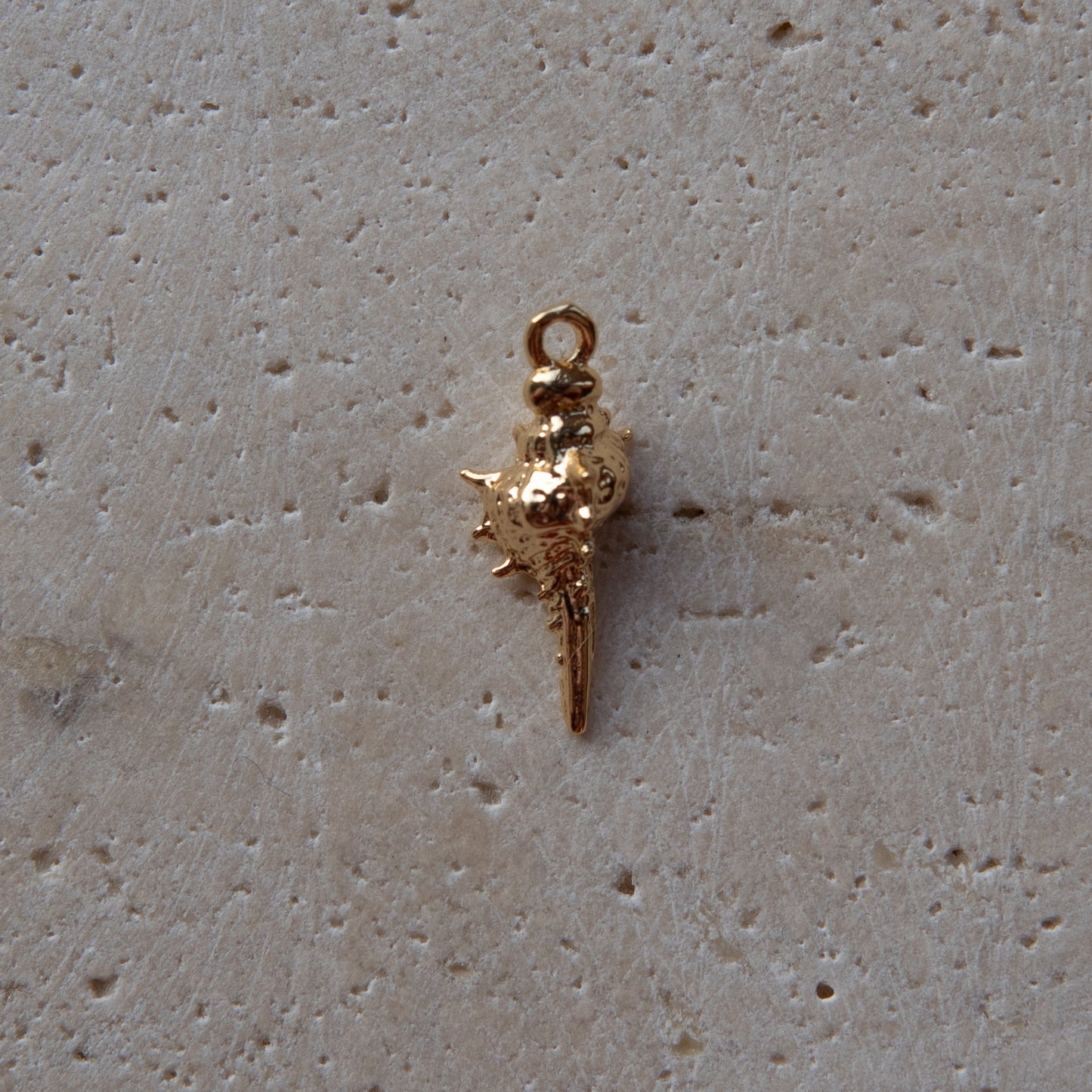 Bracelet Charms