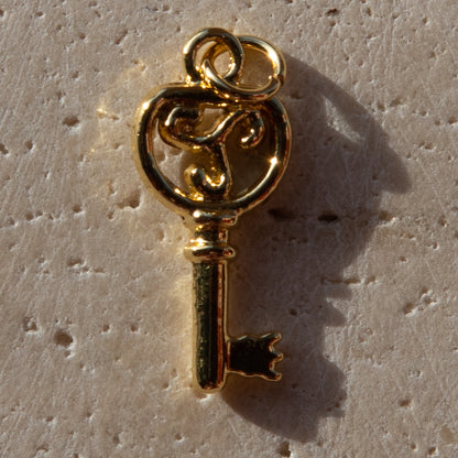 Necklace Charms
