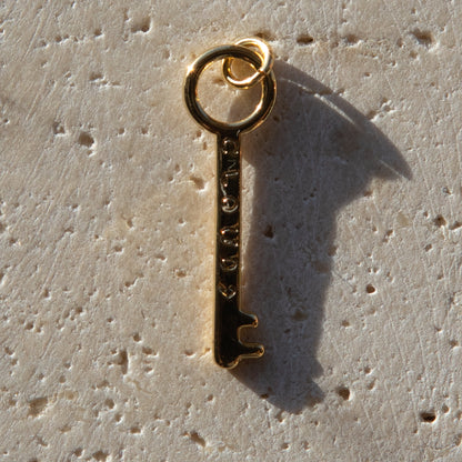 Necklace Charms