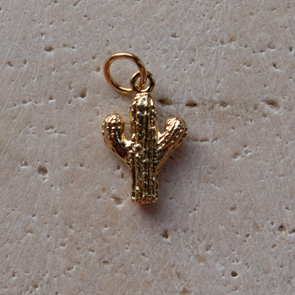 Bracelet Charms