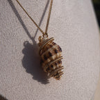 Mami Wata Julie: Trochid Necklace