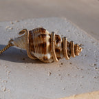 Mami Wata Julie: Trochid Necklace