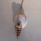 Mami Wata Alice: Turritella Necklace